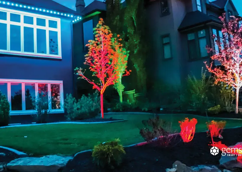 Flood lights washing front-yard trees in red