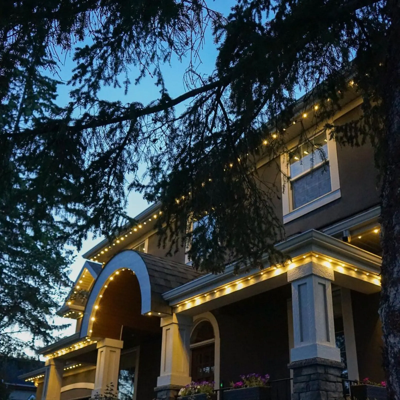 Questions to Ask When Buying an LED Light System for Your Home or Business